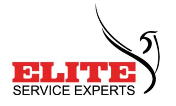 Elite Service Experts logo designed by AG Installs
